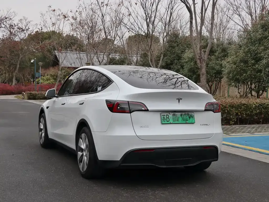 Tesla Model Y 2023 из CN, фото 7