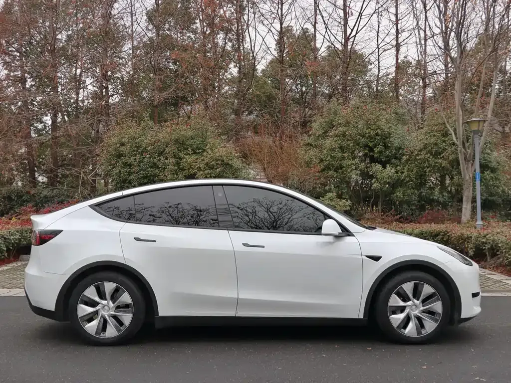 Tesla Model Y 2023 из CN, фото 10
