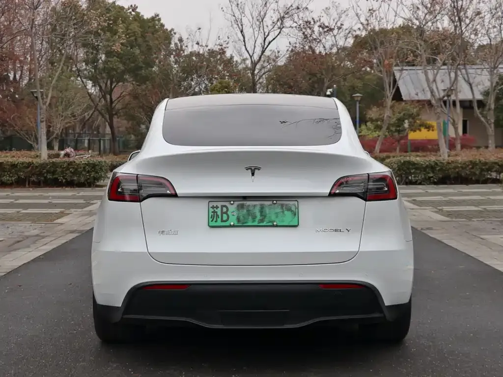 Tesla Model Y 2023 из CN, фото 4