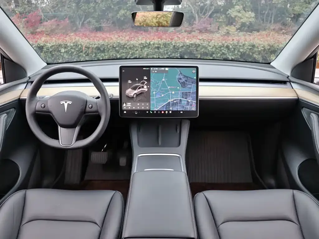 Tesla Model Y 2023 из CN, фото 2