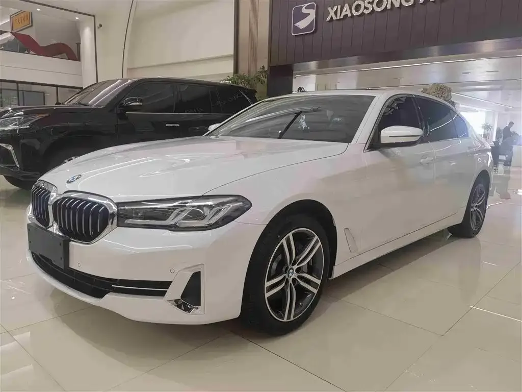 BMW 5 Series 2022 из CN, фото 1