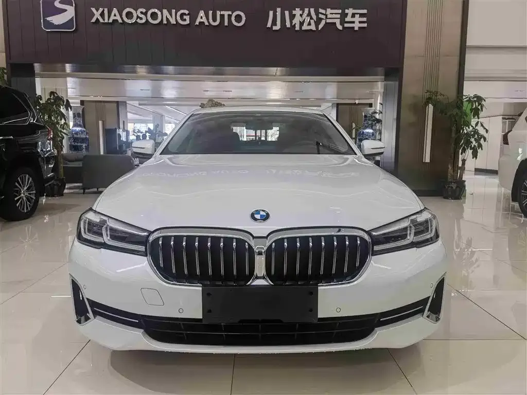 BMW 5 Series 2022 из CN, фото 10