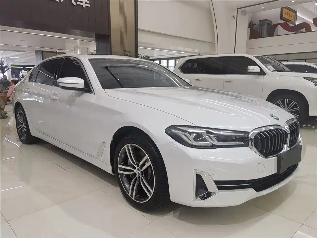 BMW 5 Series 2022 из CN, фото 3
