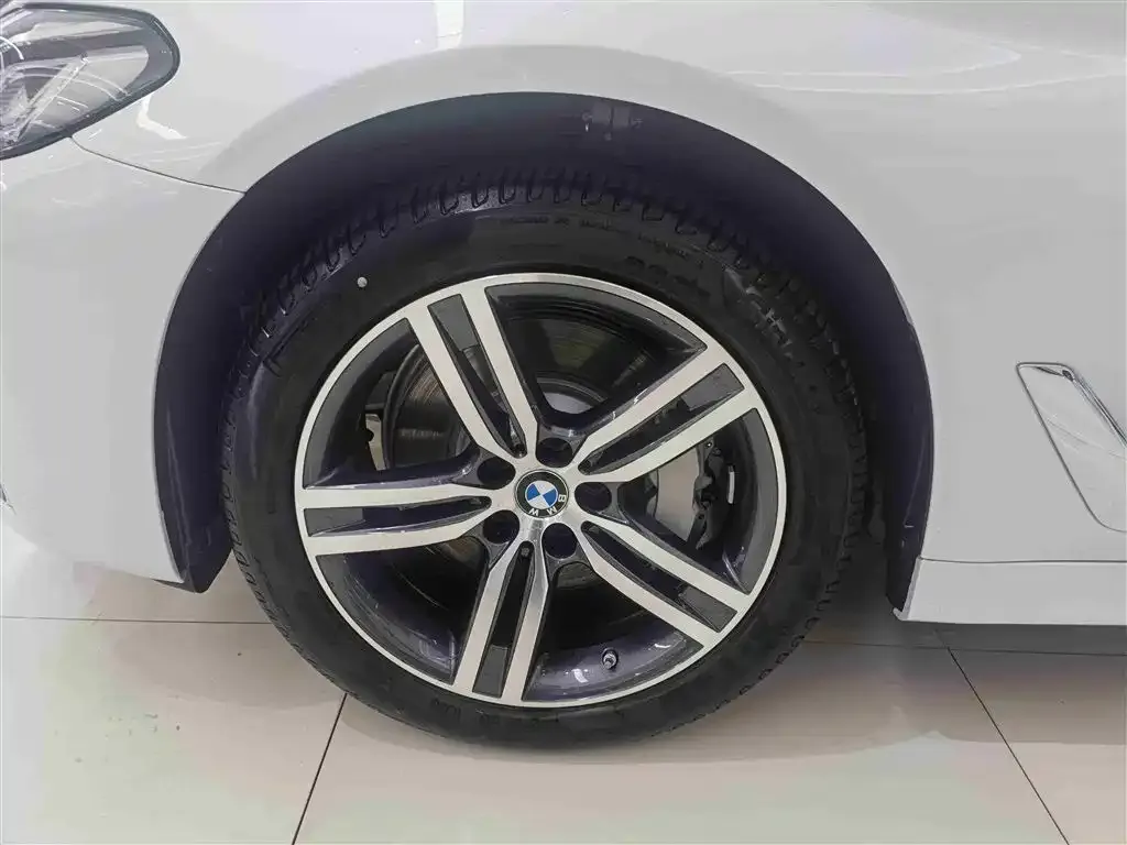 BMW 5 Series 2022 из CN, фото 2