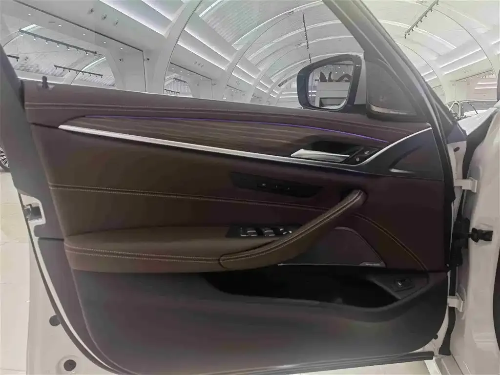 BMW 5 Series 2022 из CN, фото 5