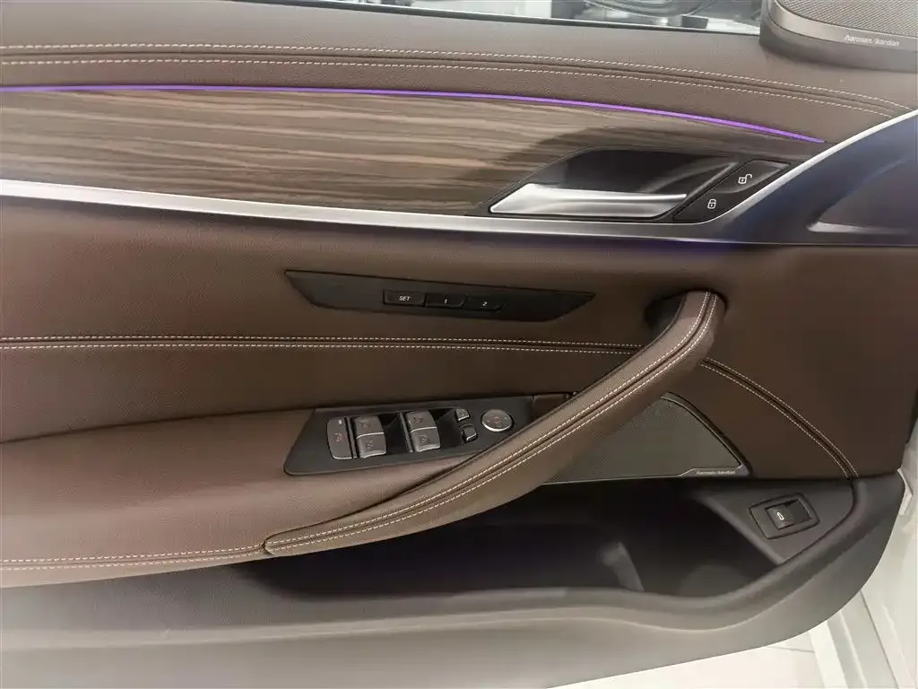 BMW 5 Series 2022 из CN, фото 4
