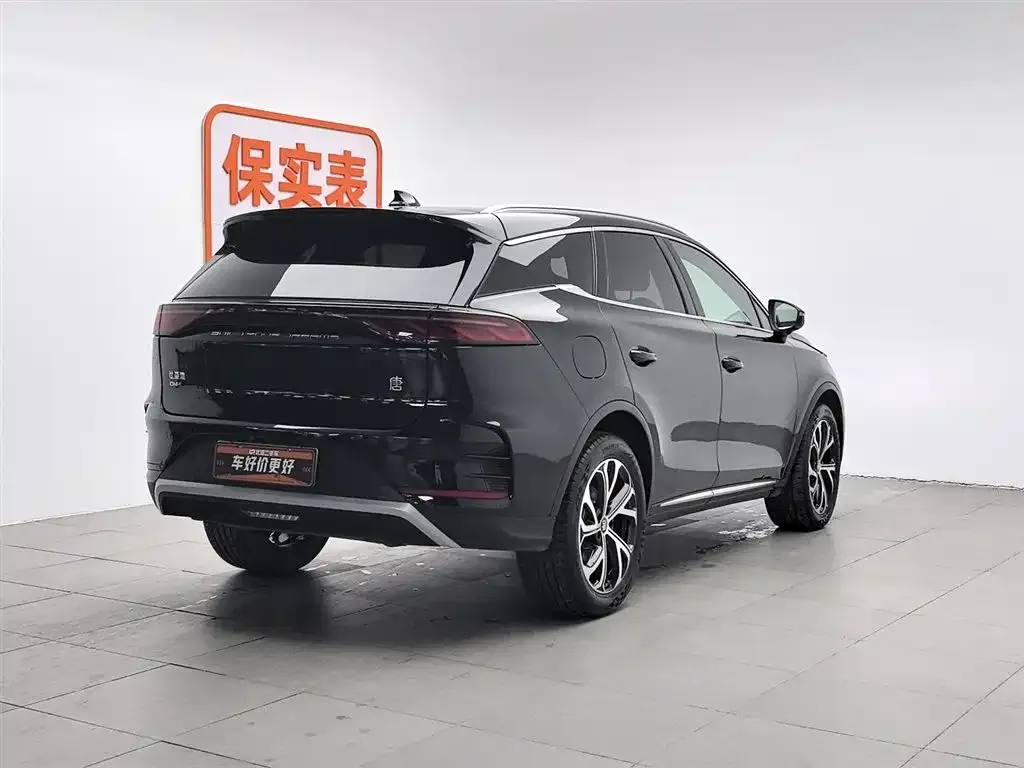 BYD Tang New Energy 2024 из CN, фото 4