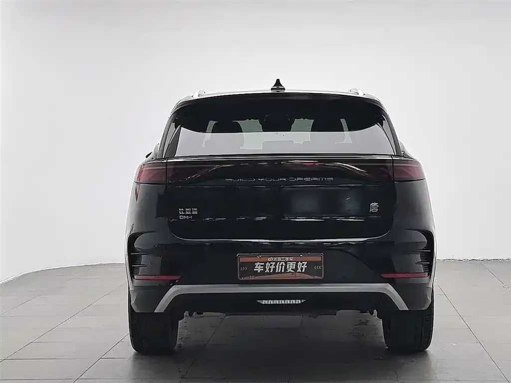 BYD Tang New Energy 2024 из CN, фото 9