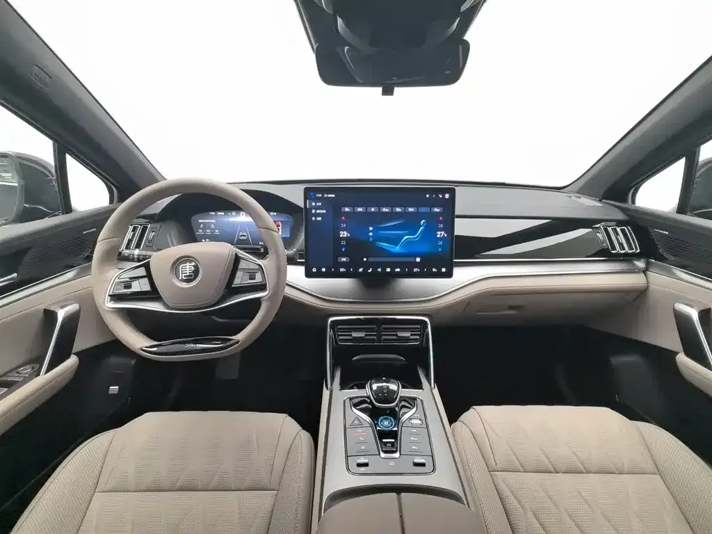 BYD Tang New Energy 2024 из CN, фото 7