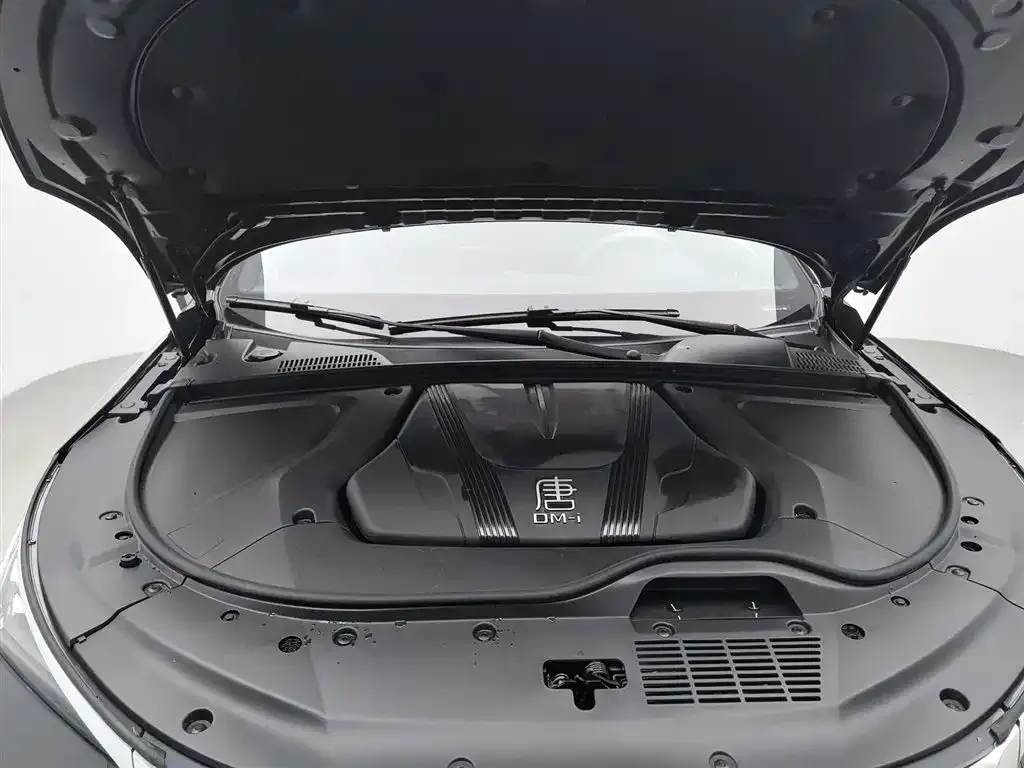 BYD Tang New Energy 2024 из CN, фото 10