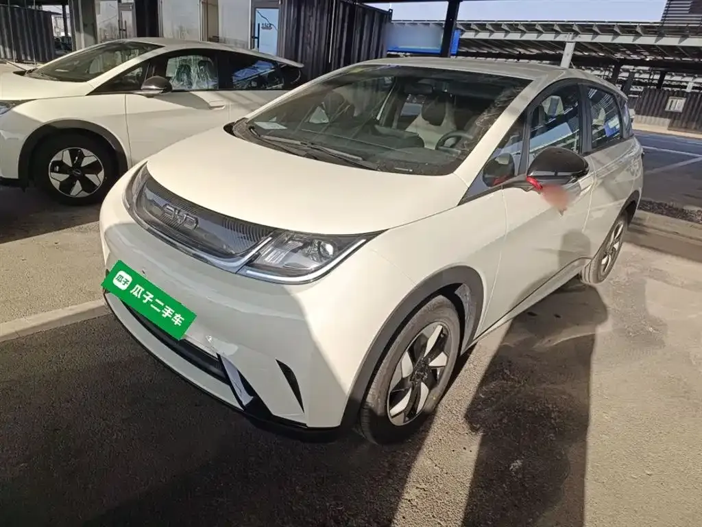 BYD Dolphin 2026 из CN, фото 1