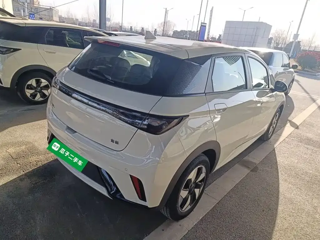 BYD Dolphin 2026 из CN, фото 5