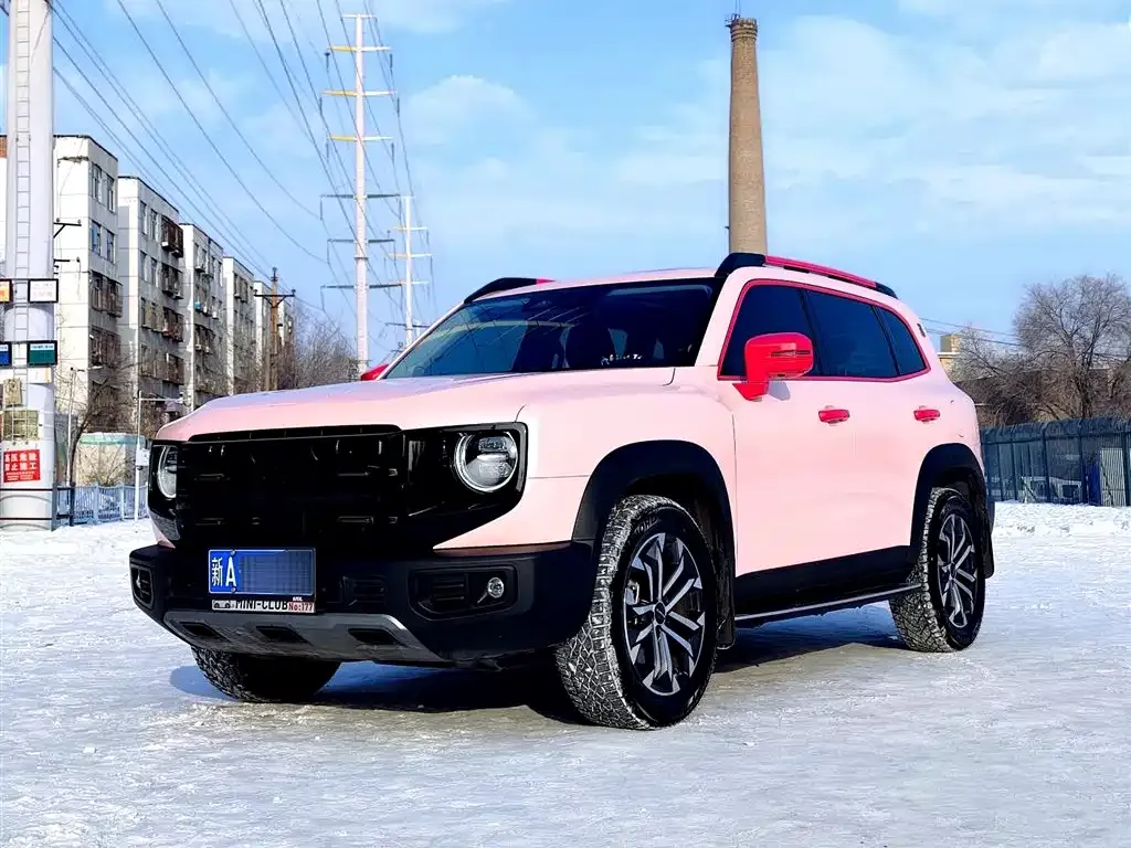 Haval Big Dog 2024 из CN, фото 1
