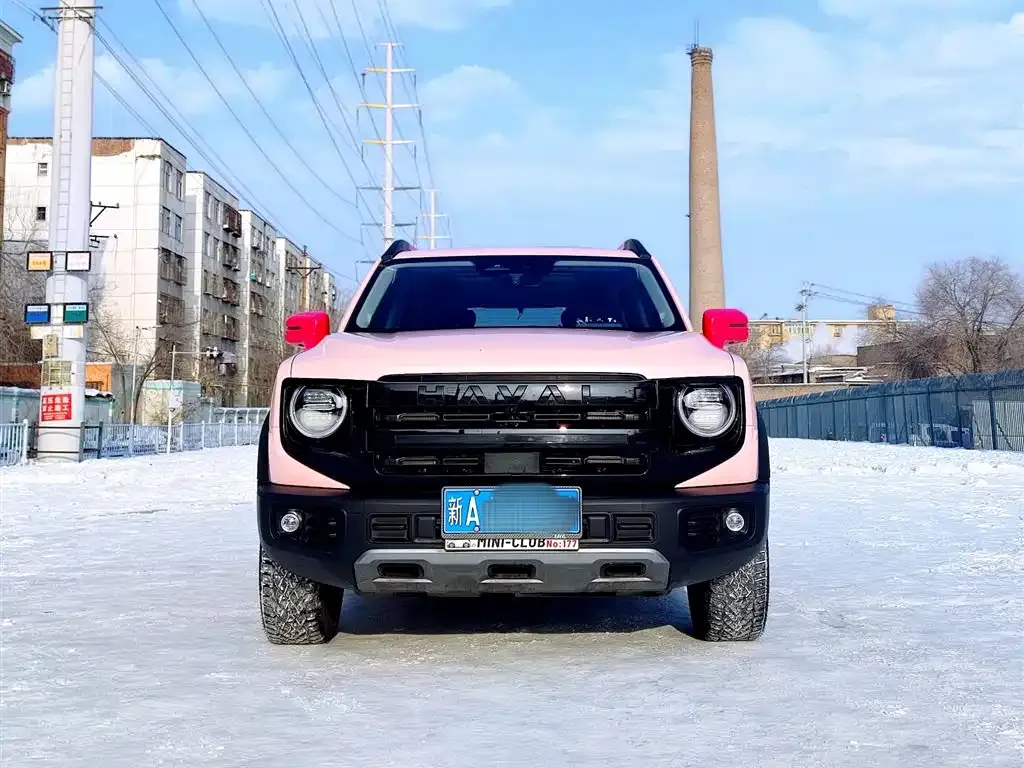 Haval Big Dog 2024 из CN, фото 10