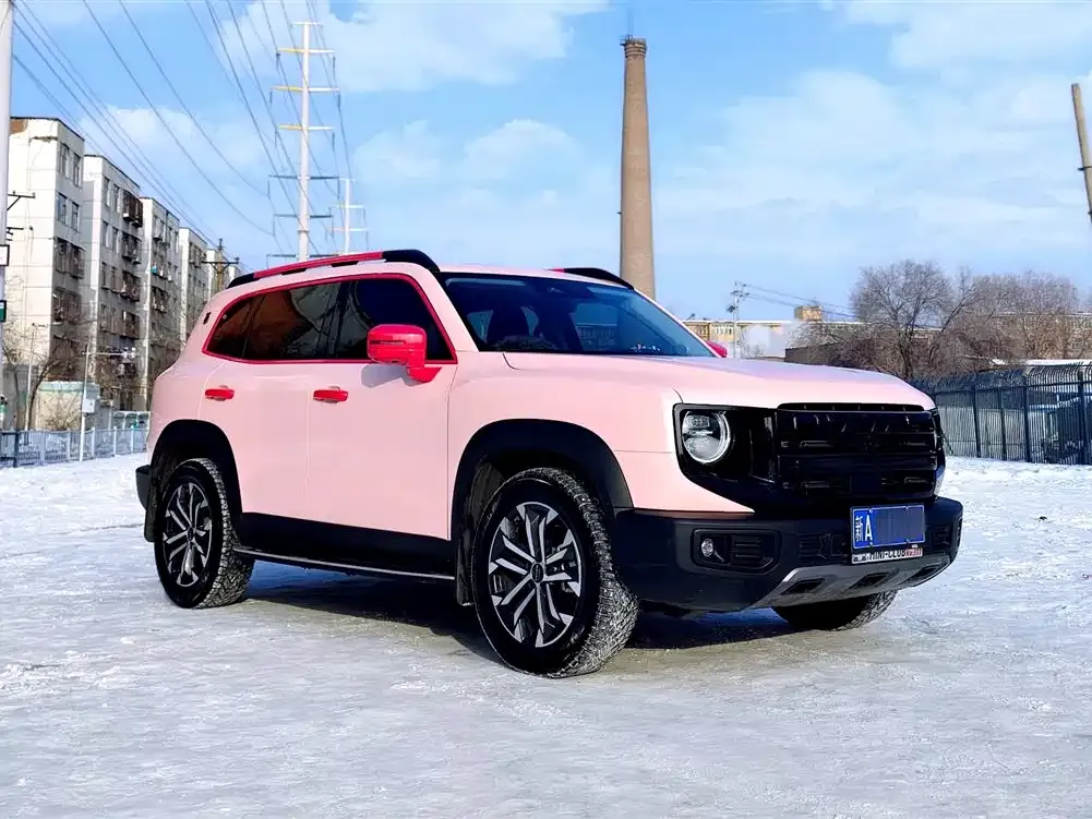 Haval Big Dog 2024 из CN, фото 6