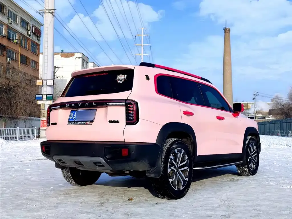 Haval Big Dog 2024 из CN, фото 3