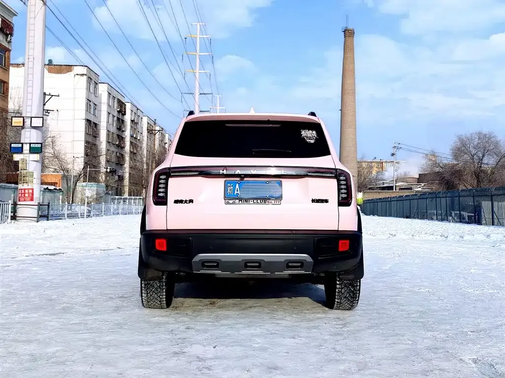 Haval Big Dog 2024 из CN, фото 8