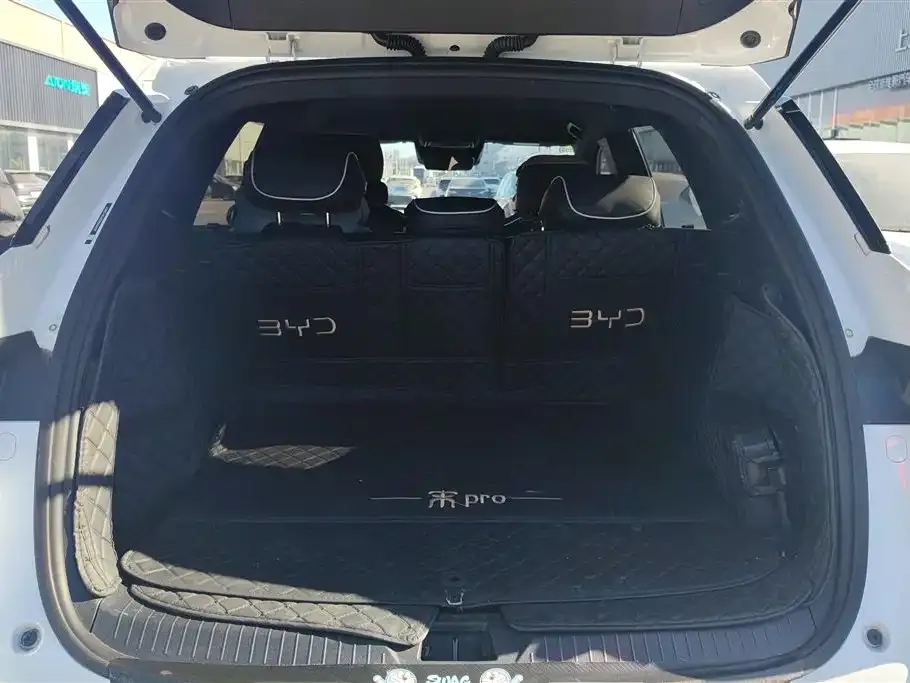 BYD Pro New Energy 2025 из CN, фото 5