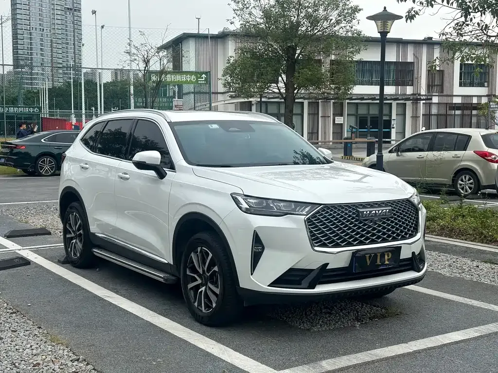 Haval H6 2023 из CN, фото 10
