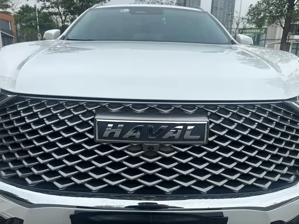 Haval H6 2023 из CN, фото 5