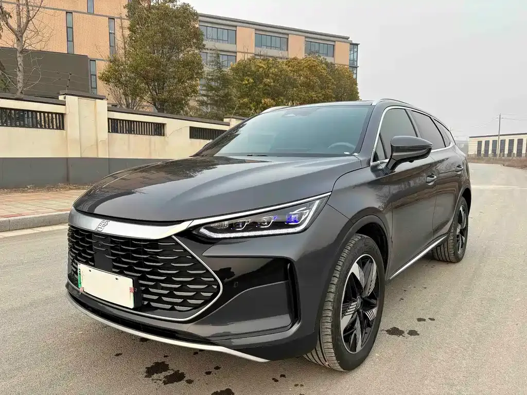 BYD Tang New Energy 2024 из CN, фото 1