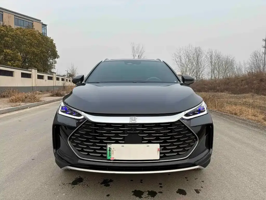 BYD Tang New Energy 2024 из CN, фото 7