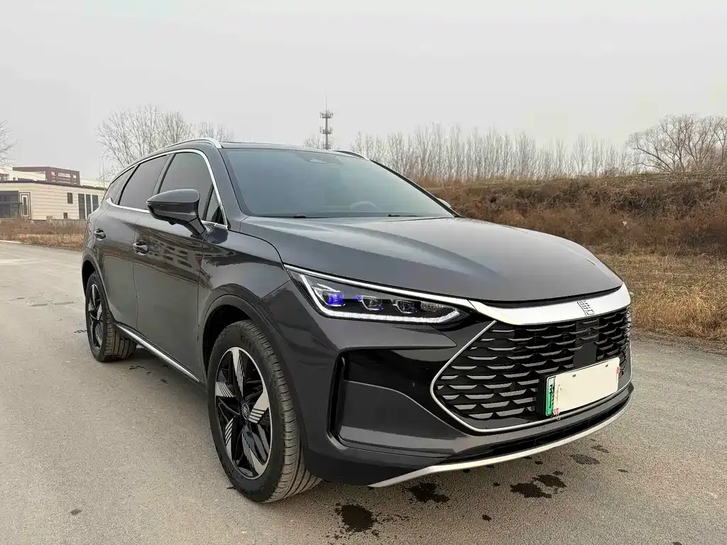 BYD Tang New Energy 2024 из CN, фото 2