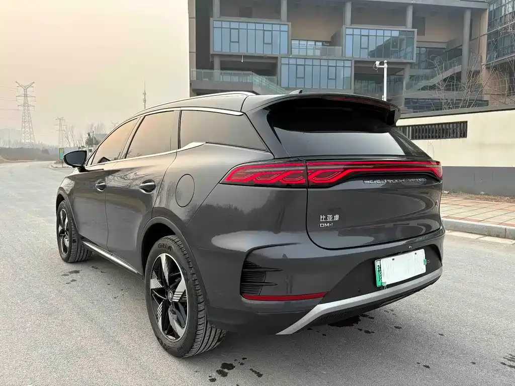 BYD Tang New Energy 2024 из CN, фото 6