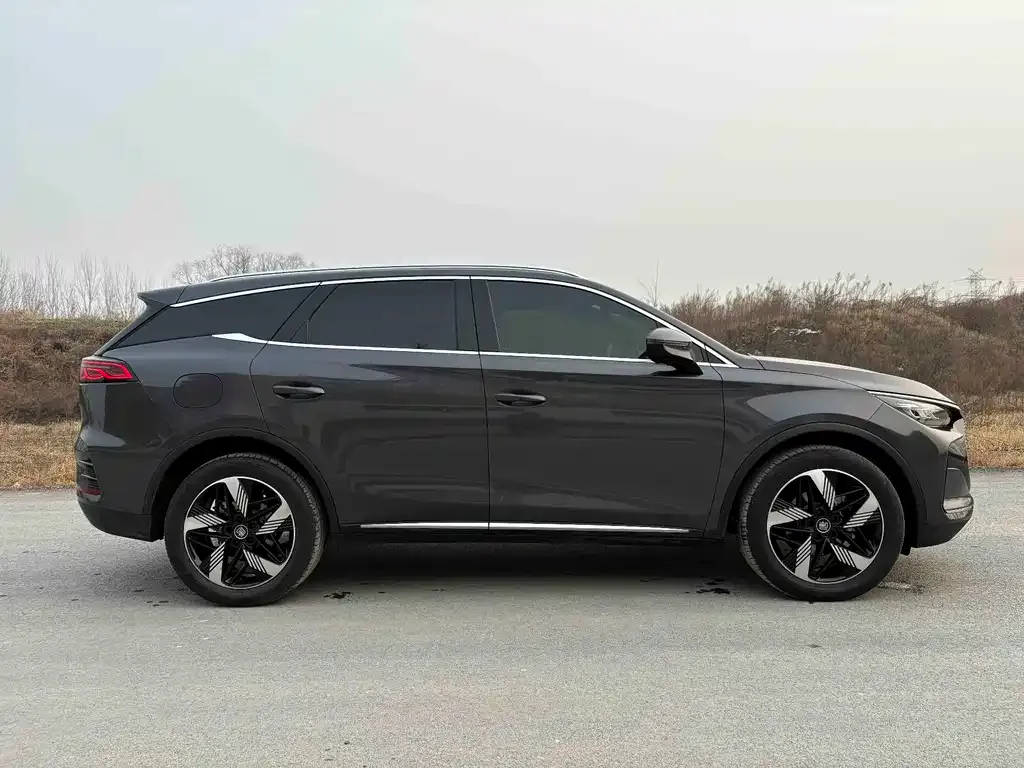 BYD Tang New Energy 2024 из CN, фото 4