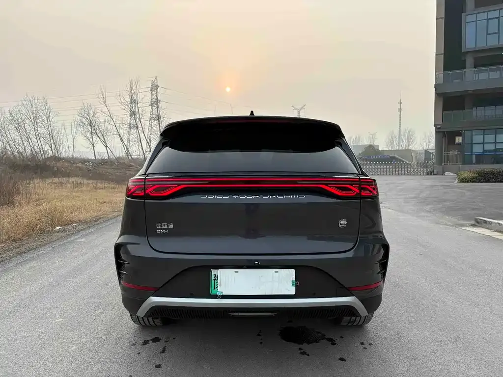 BYD Tang New Energy 2024 из CN, фото 8