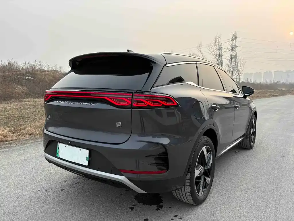 BYD Tang New Energy 2024 из CN, фото 9