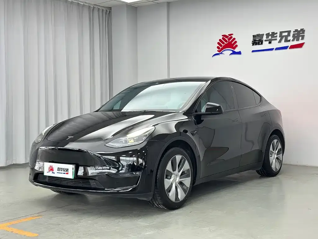 Tesla Model Y 2021 из CN, фото 1