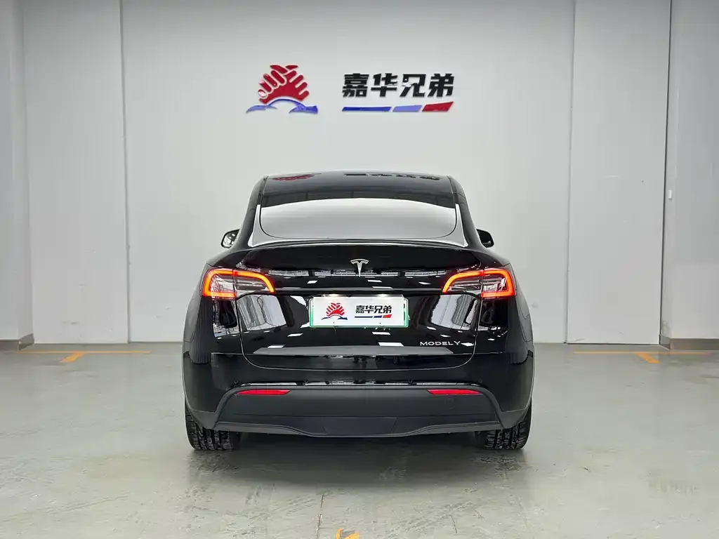 Tesla Model Y 2021 из CN, фото 3
