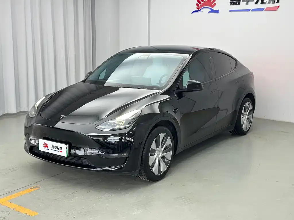 Tesla Model Y 2021 из CN, фото 10