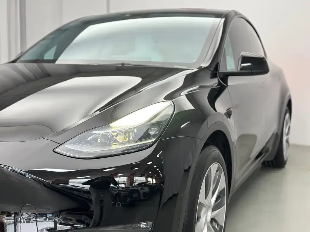 Tesla Model Y 2021 из CN, фото 8