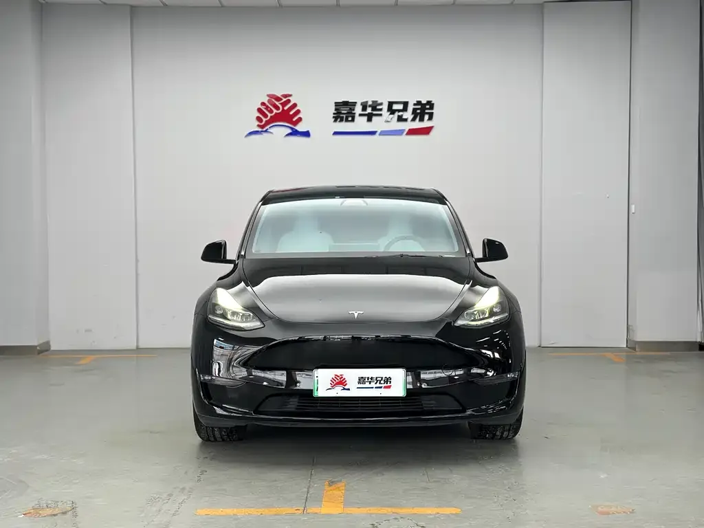 Tesla Model Y 2021 из CN, фото 6