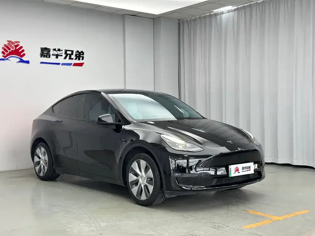 Tesla Model Y 2021 из CN, фото 4