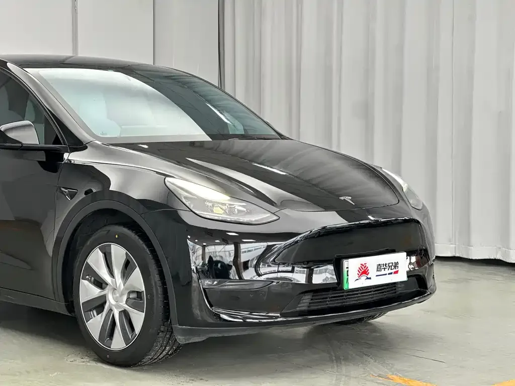 Tesla Model Y 2021 из CN, фото 2