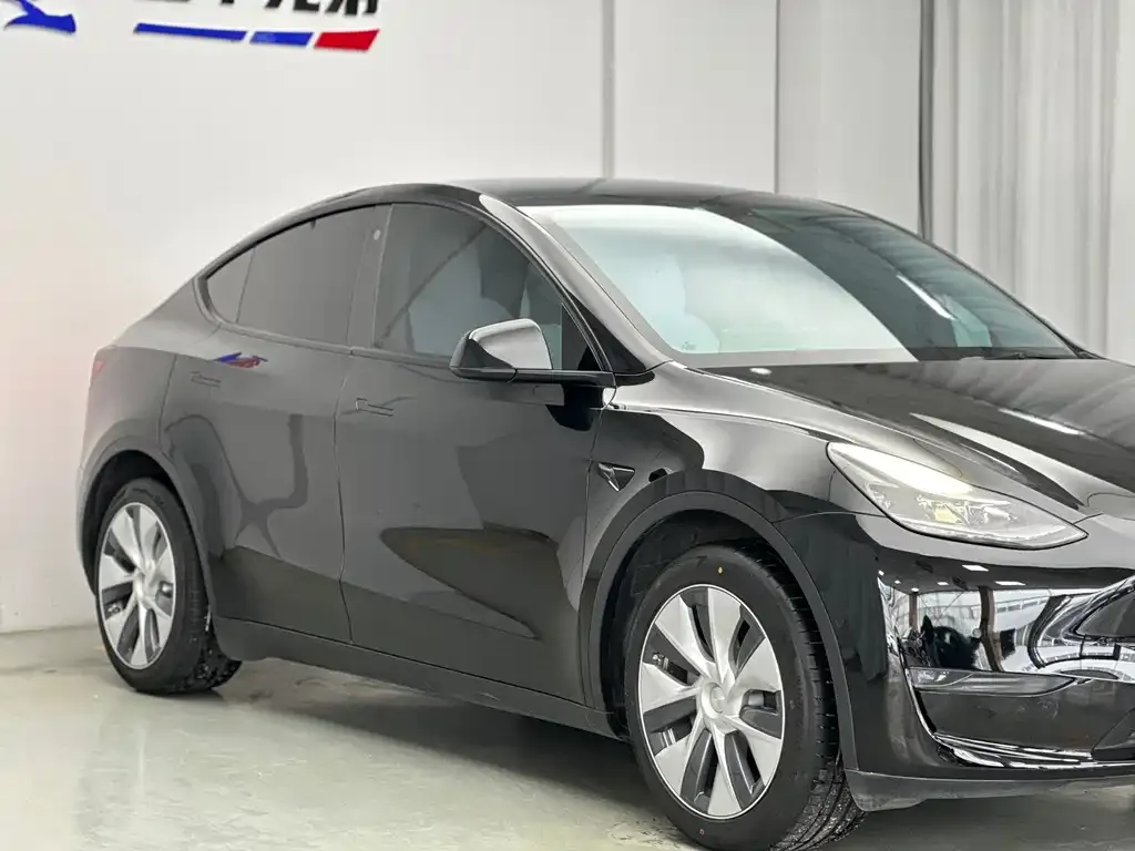 Tesla Model Y 2021 из CN, фото 7