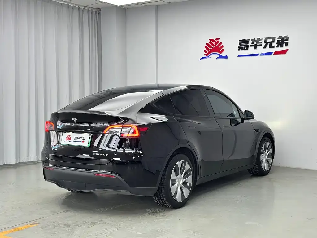 Tesla Model Y 2021 из CN, фото 9