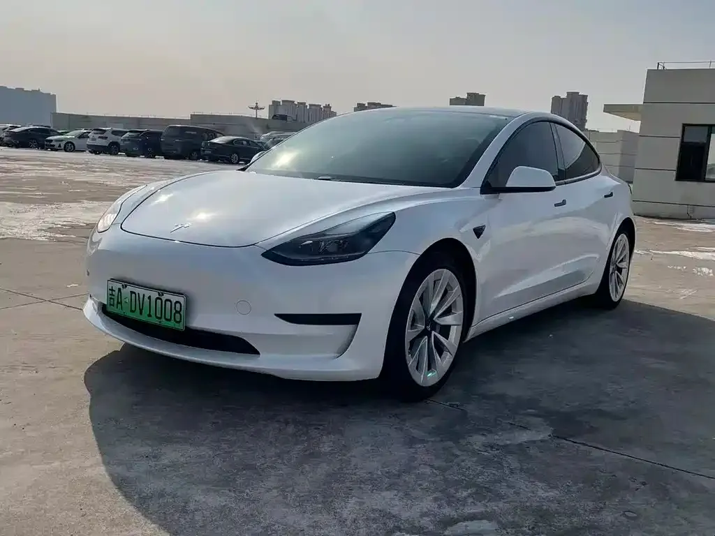 Tesla Model 3 2021 из CN, фото 1