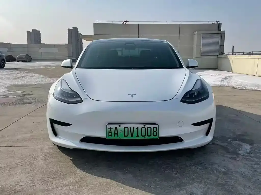 Tesla Model 3 2021 из CN, фото 5