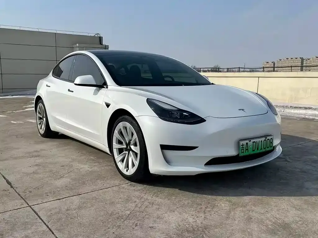 Tesla Model 3 2021 из CN, фото 4