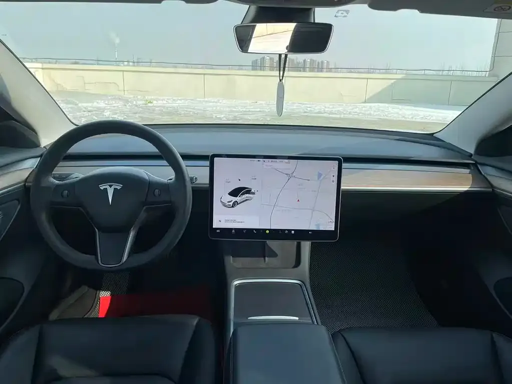 Tesla Model 3 2021 из CN, фото 8