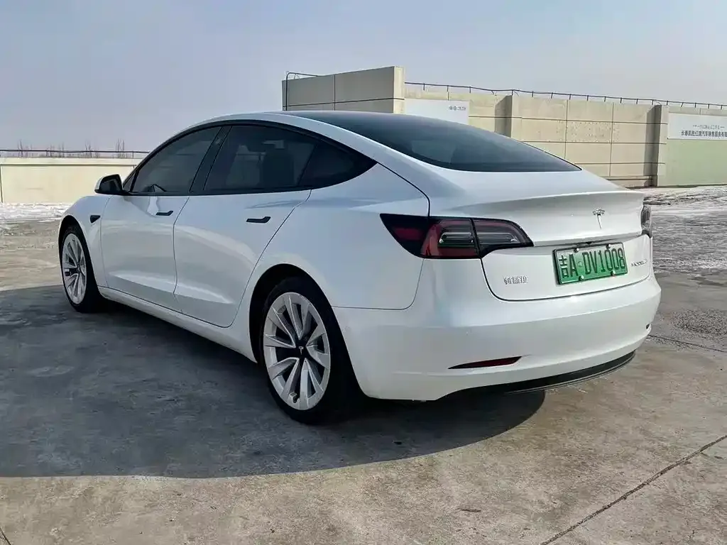 Tesla Model 3 2021 из CN, фото 9