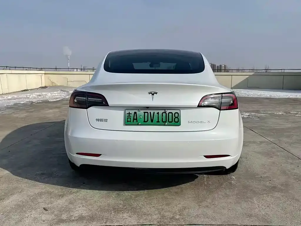 Tesla Model 3 2021 из CN, фото 3