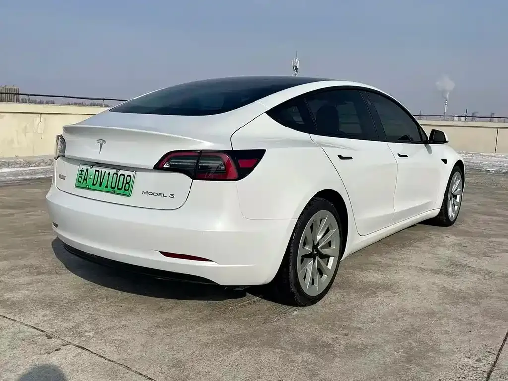 Tesla Model 3 2021 из CN, фото 6