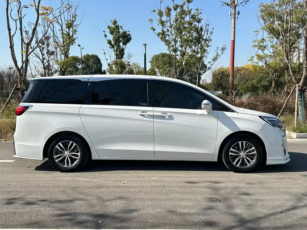Buick GL8 2021 из CN, фото 4