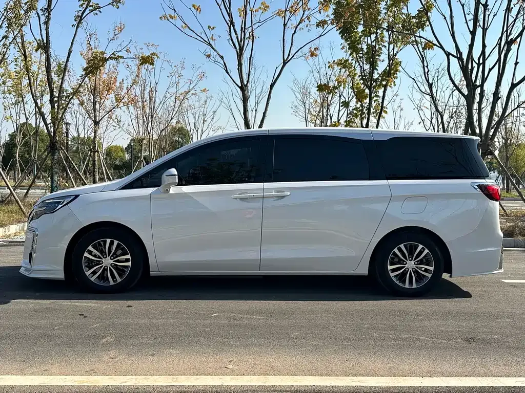 Buick GL8 2021 из CN, фото 7