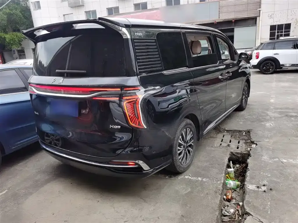 Hongqi HQ9 2024 из CN, фото 10